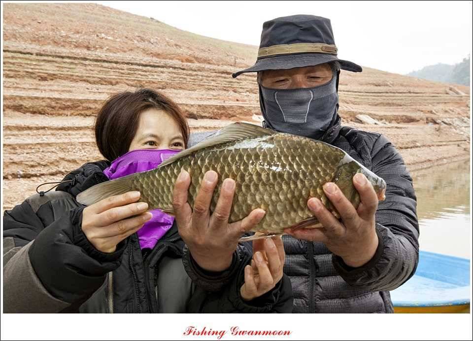 대류 한버들 45 cm 41 cm 39 cm 대물 조황 (조황조행기 - 특파원조황)