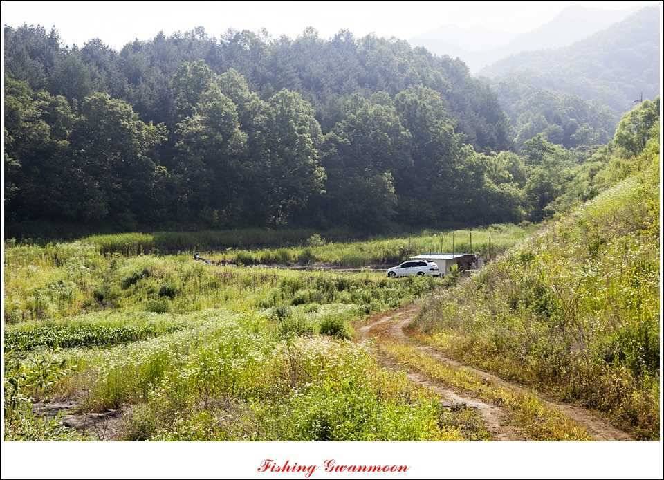 대류 한버들 435 cm39 cm38 cm돌감병호 조황 (조황조행기 - 특파원조황)
