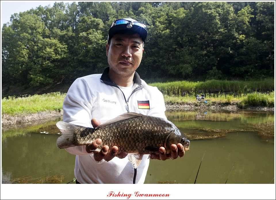 대류 한버들 435 cm39 cm38 cm돌감병호 조황 (조황조행기 - 특파원조황)