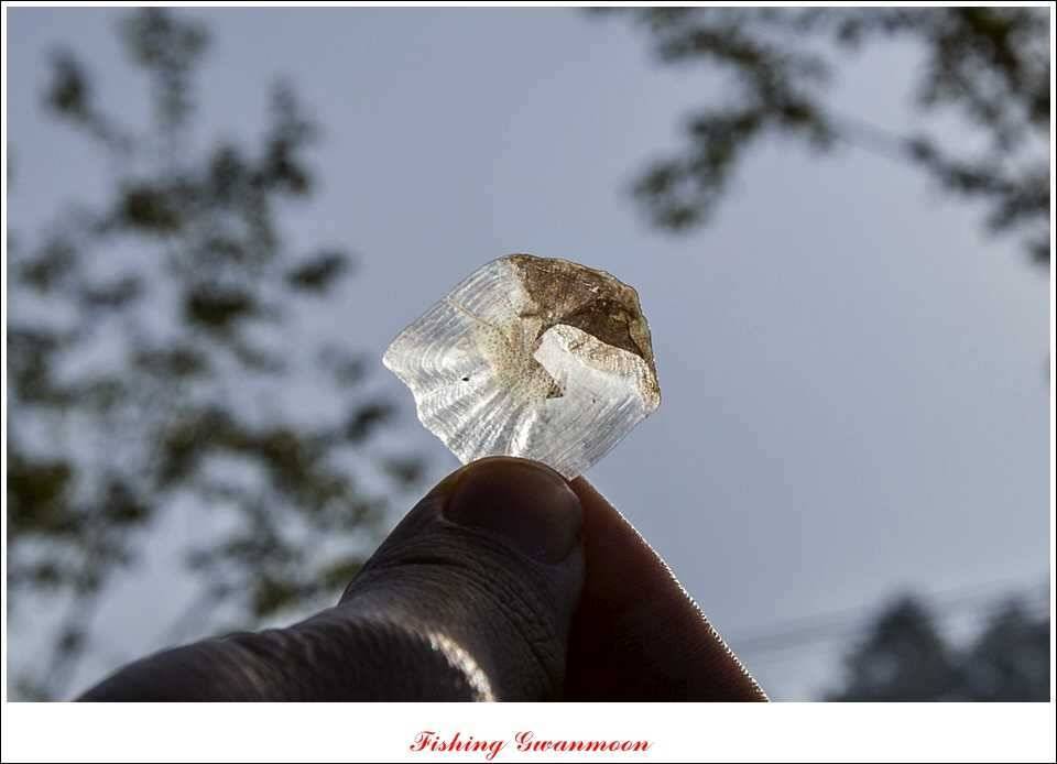 추평지 오짜화곡지 사짜 (조황조행기 - 특파원조황)