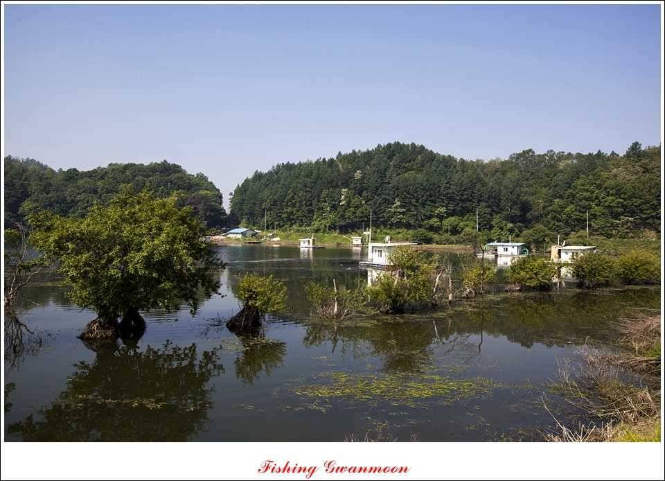 추평지 오짜화곡지 사짜 (조황조행기 - 특파원조황)