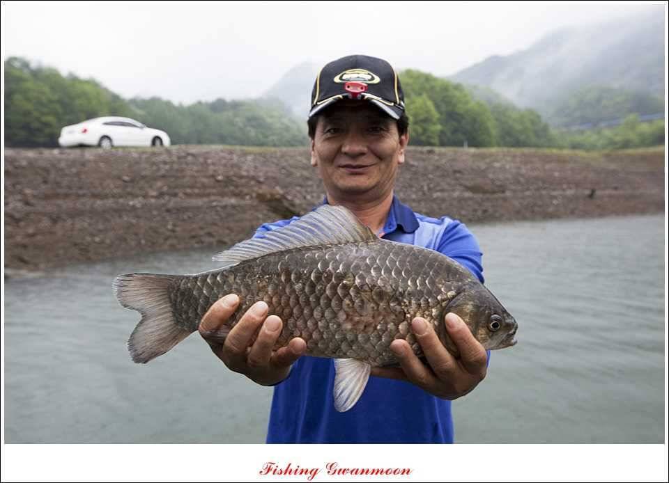 충주호 사짜화곡지 사짜추평지 사짜 (조황조행기 - 특파원조황)