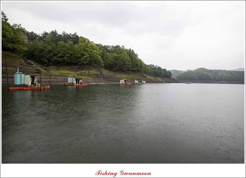 충주호 사짜화곡지 사짜추평지 사짜 (조황조행기 - 특파원조황)