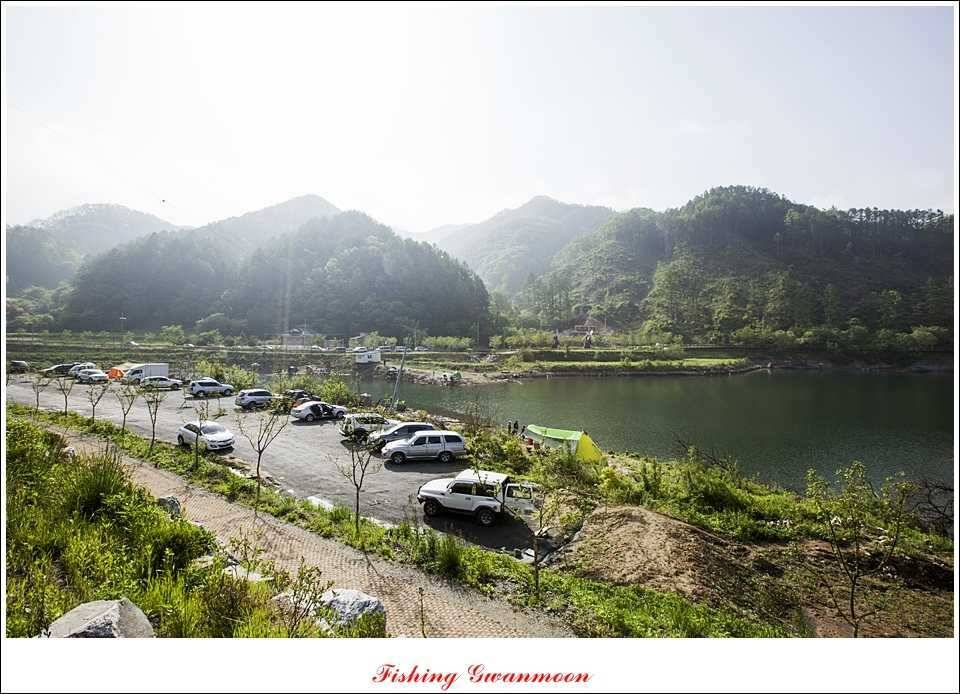 추평지 52 cm 대물한버들 월척화곡지 사짜칠성지 대박 (조황조행기 - 특파원조황)
