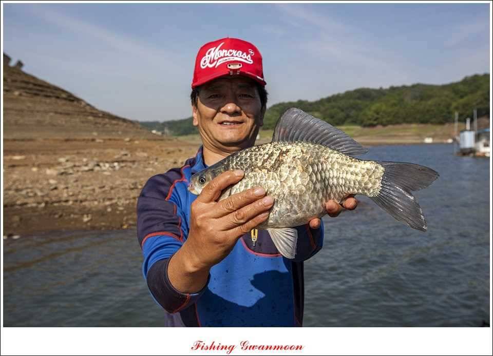 충주호 조황화곡지 사짜 (조황조행기 - 특파원조황)