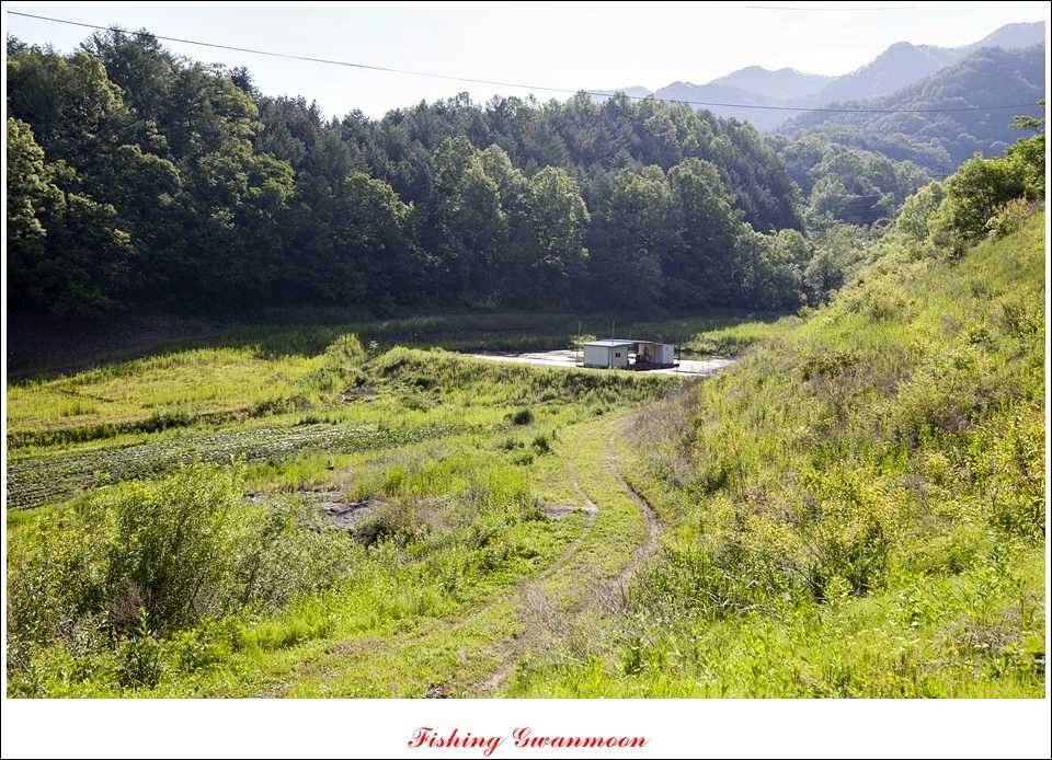 충주호 조황화곡지 사짜 (조황조행기 - 특파원조황)