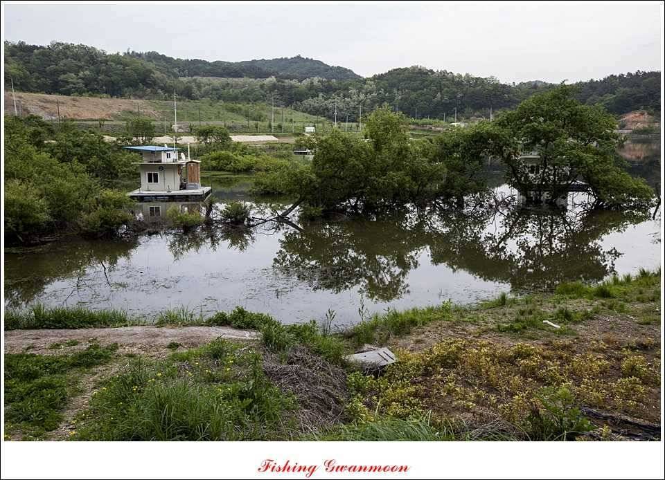 충주호 사짜화곡지 사짜추평지 사짜 (조황조행기 - 특파원조황)