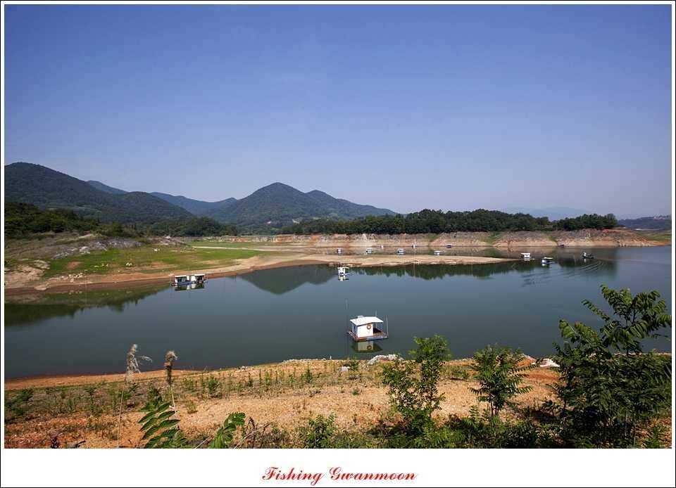 충주호 조황화곡지 사짜 (조황조행기 - 특파원조황)