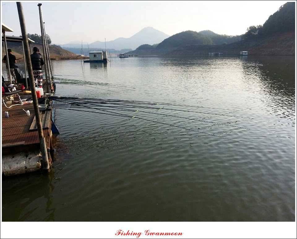 충주호 조황화곡지 사짜 (조황조행기 - 특파원조황)