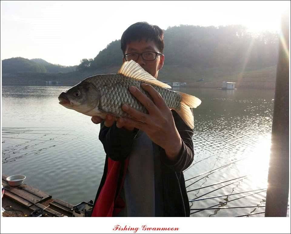 충주호 조황화곡지 사짜 (조황조행기 - 특파원조황)