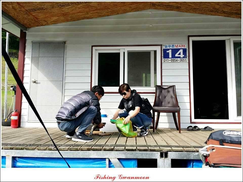 한버들 425 cm늘푸른 395cm화곡지 조황 (조황조행기 - 특파원조황)