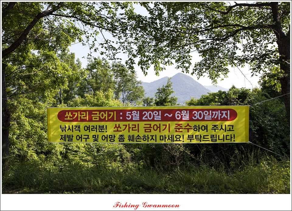 충주호 조황화곡지 사짜 (조황조행기 - 특파원조황)