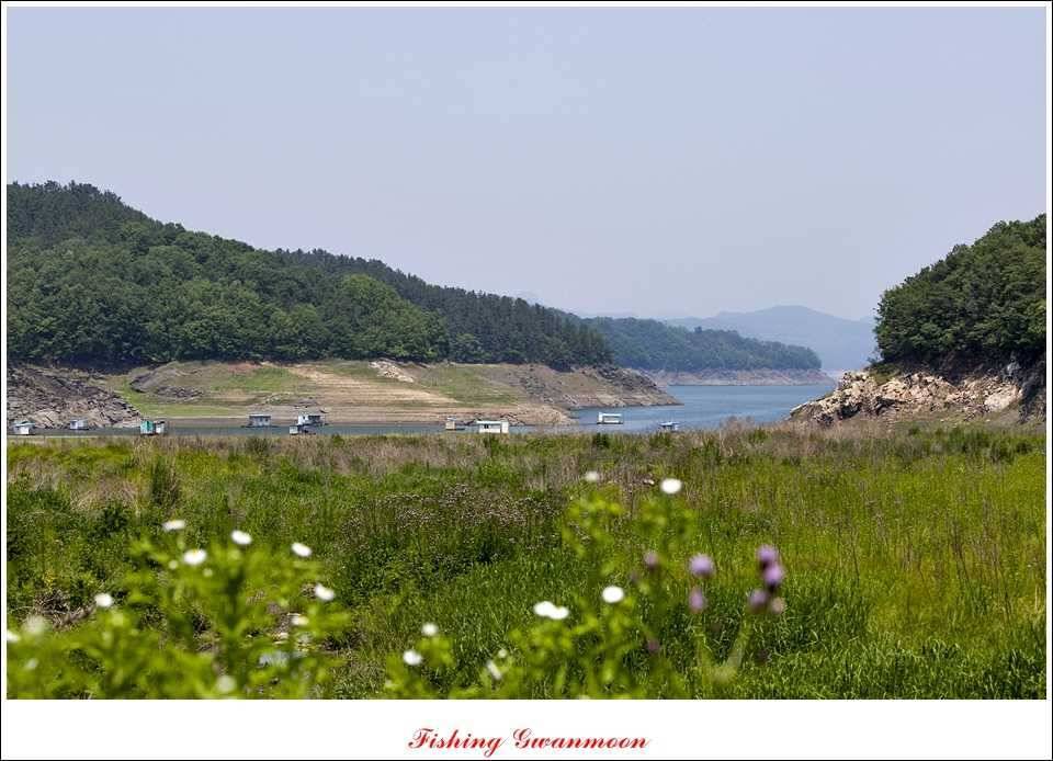 충주호 조황화곡지 사짜 (조황조행기 - 특파원조황)