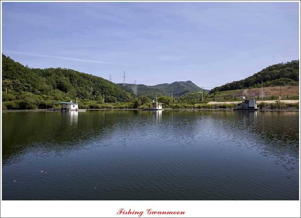 충주호 조황화곡지 사짜 (조황조행기 - 특파원조황)
