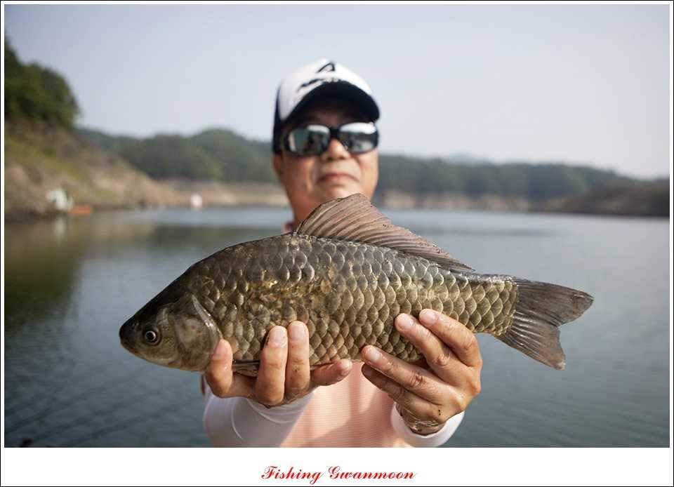 늘푸른 39 cm 월척 (조황조행기 - 특파원조황)