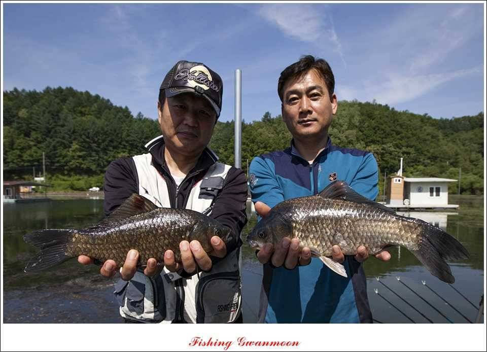 충주호 조황화곡지 사짜 (조황조행기 - 특파원조황)