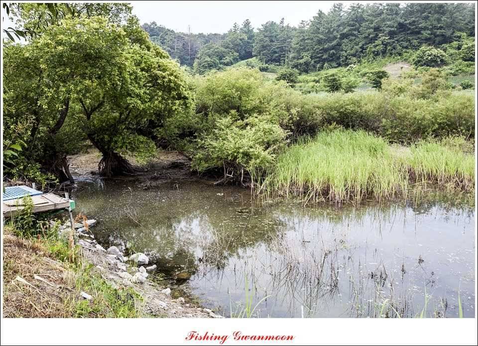대류 한버들 대물칠성지 소식 (조황조행기 - 특파원조황)