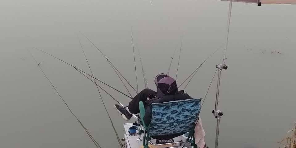 pro_johwang_15600_123250_43662.jpg