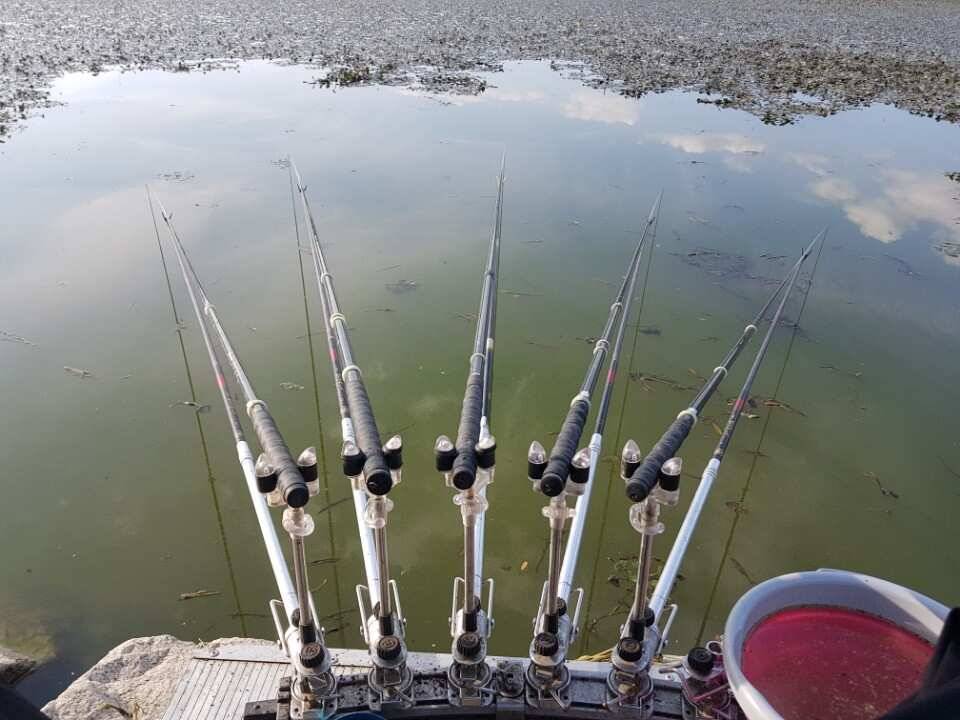 pro_johwang_30e62_085759_84685.jpg