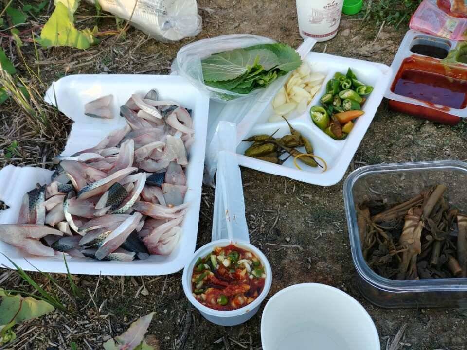 pro_johwang_8df7b_084020_24556.jpg