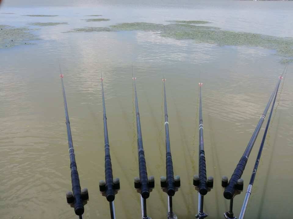pro_johwang_9414a_084036_65865.jpg