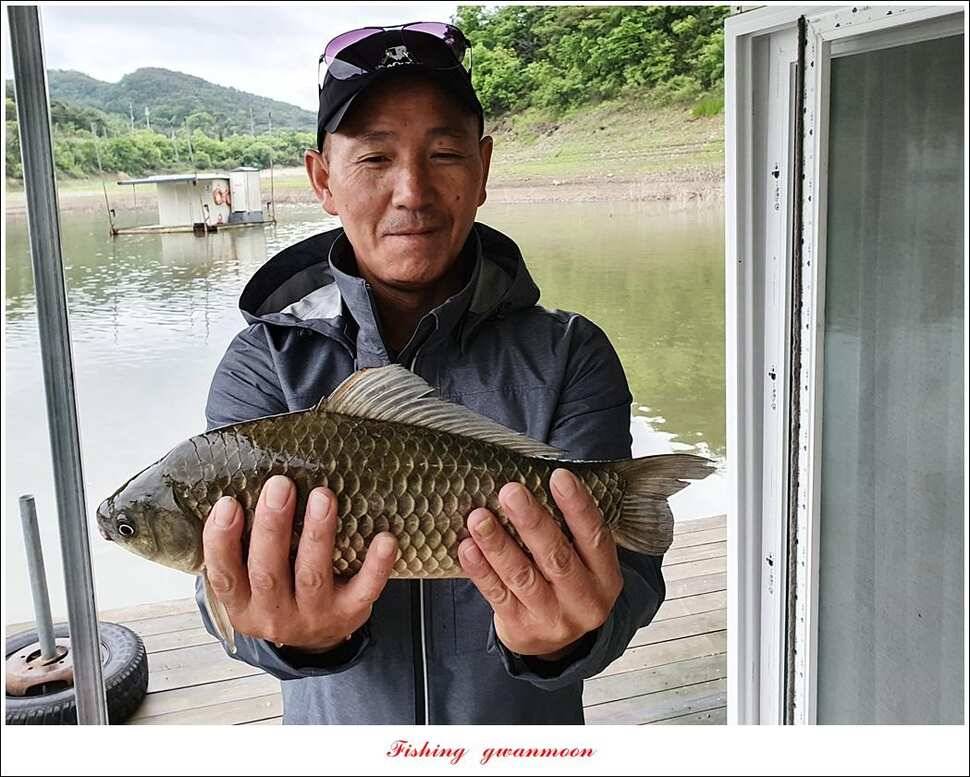 한버들 4 짜 2 수신리 4 짜실리곡 월척칠성지 4 짜 조황 (조황조행기 - 특파원조황)