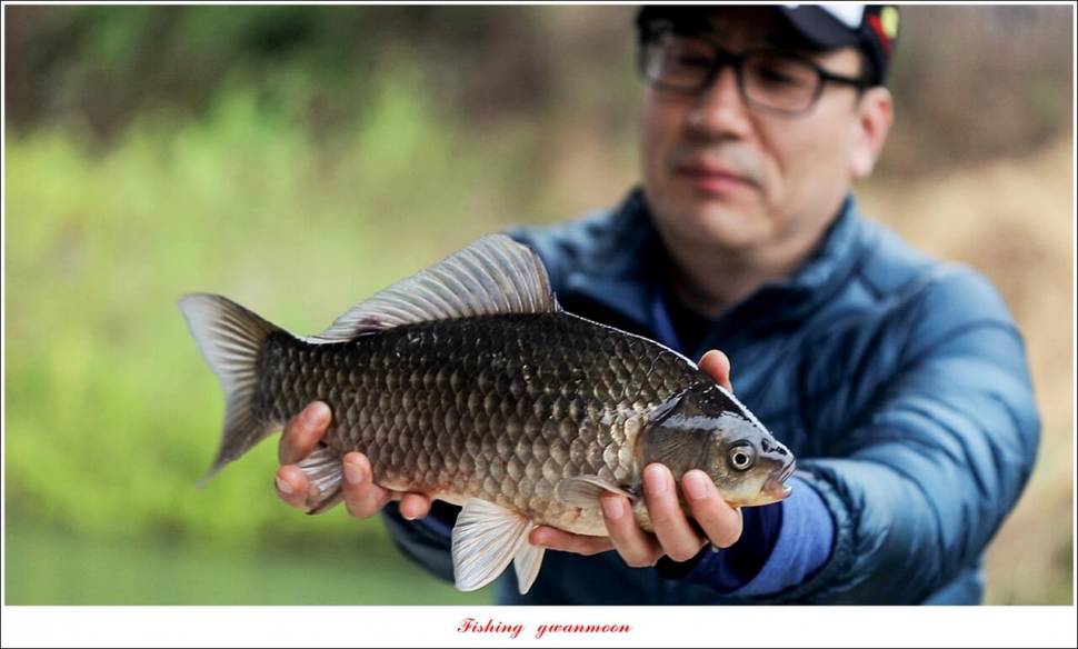 화곡지 4 짜 조황 (조황조행기 - 특파원조황)