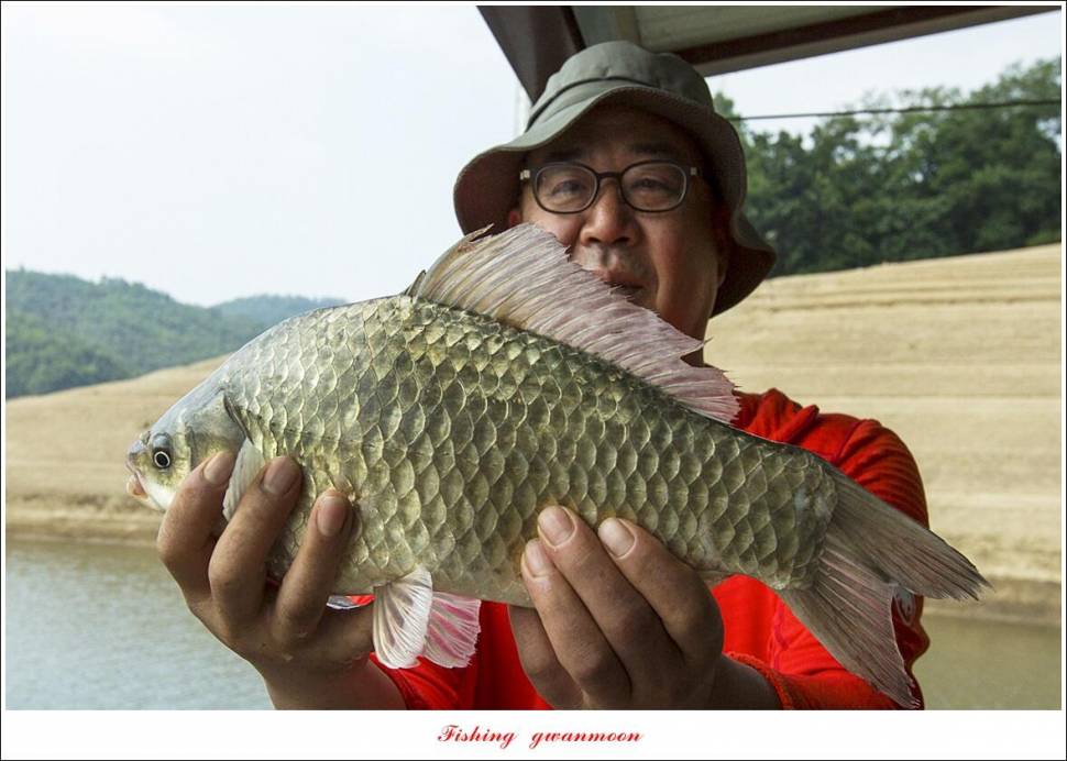 목벌 4 짜솔 4 짜 및 삼십후반 대물 조황 (조황조행기 - 특파원조황)