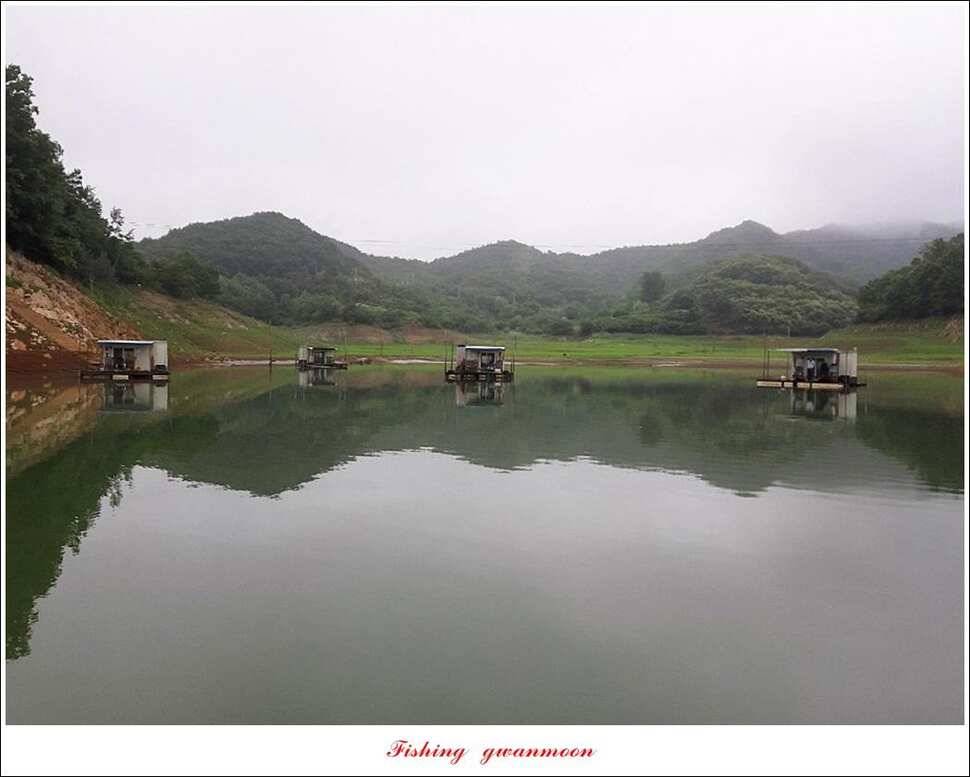 돌감 좌대칠성지 월척 달천강 사짜 및 월척 조황 (조황조행기 - 특파원조황)
