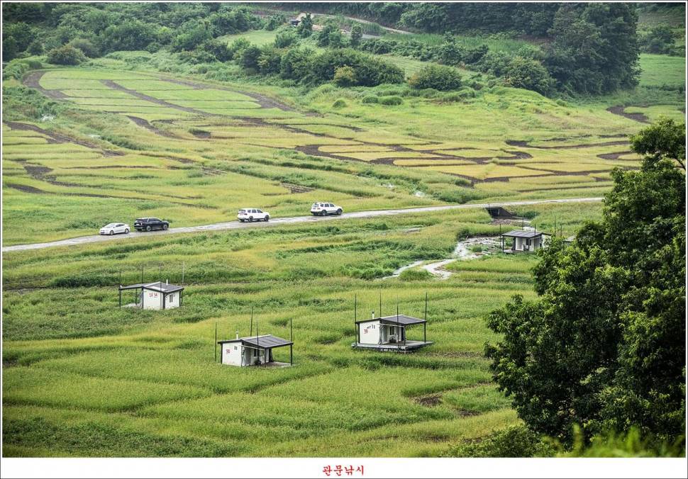 제일 낚시터 대박 조황명서 낚시터 호조황 (조황조행기 - 특파원조황)