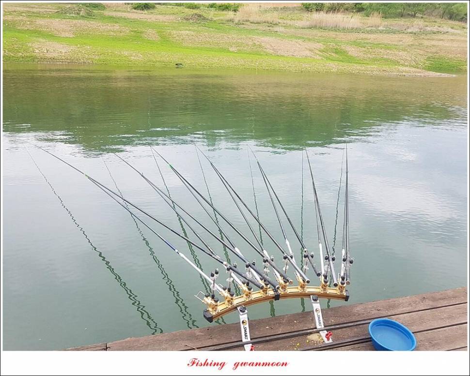 한버들 4 짜신리 4 짜실리곡 4 짜대물 조황 (조황조행기 - 특파원조황)