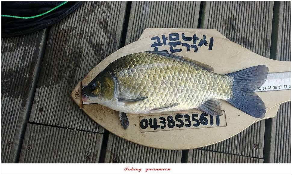 종점 4 짜제일신매 낚시터 조황 (조황조행기 - 특파원조황)