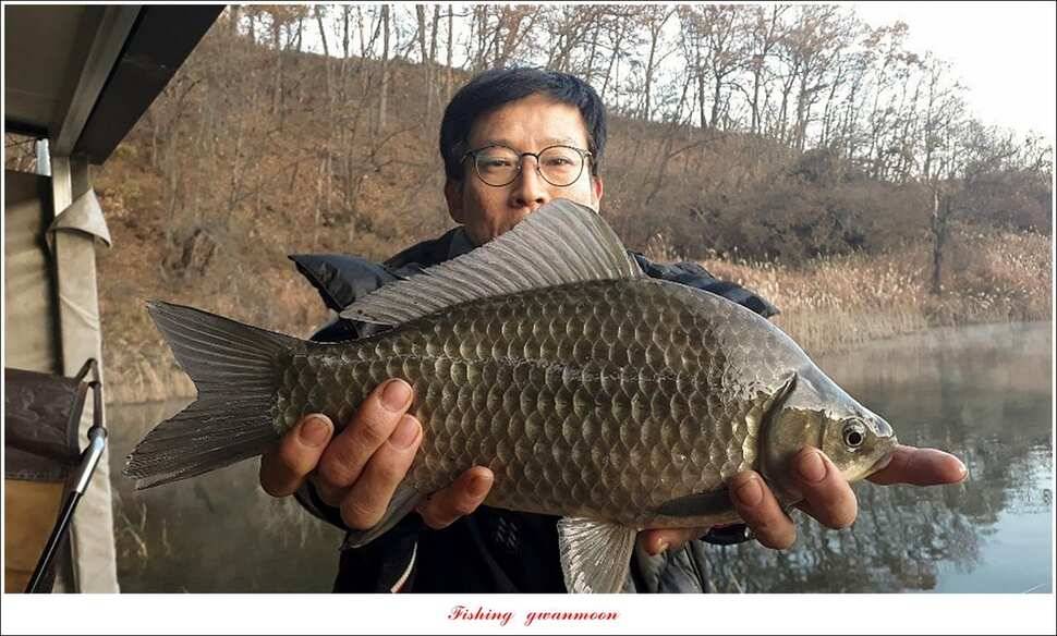 제일 413 cm39 cm365 cm돌감 38 cm 대물 조황 (조황조행기 - 특파원조황)