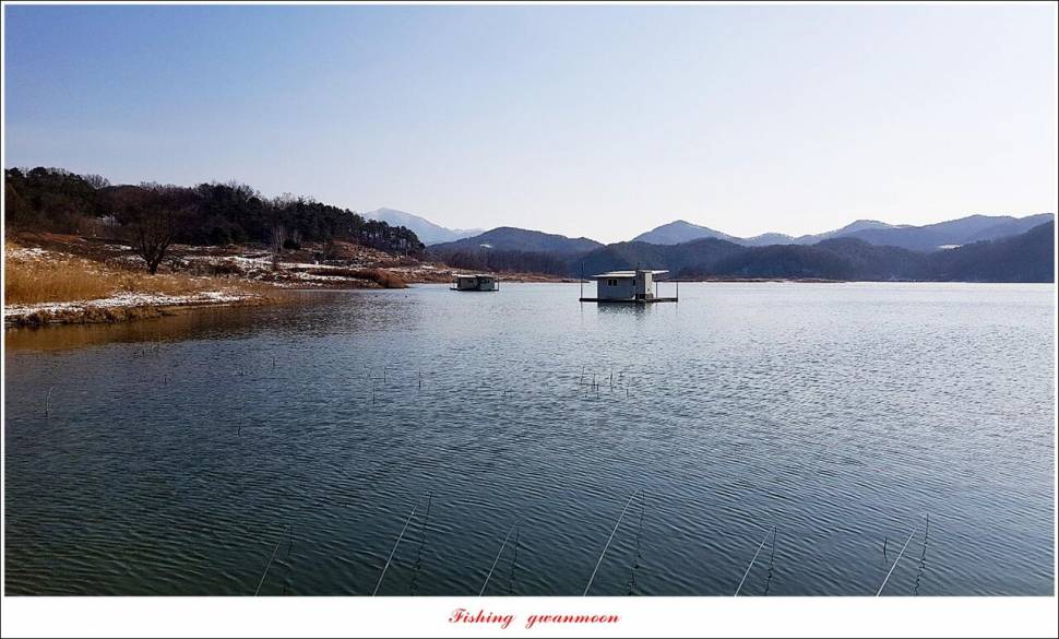 돌감 최대어 이벤트한버들 허리급 월척 조황 (조황조행기 - 특파원조황)