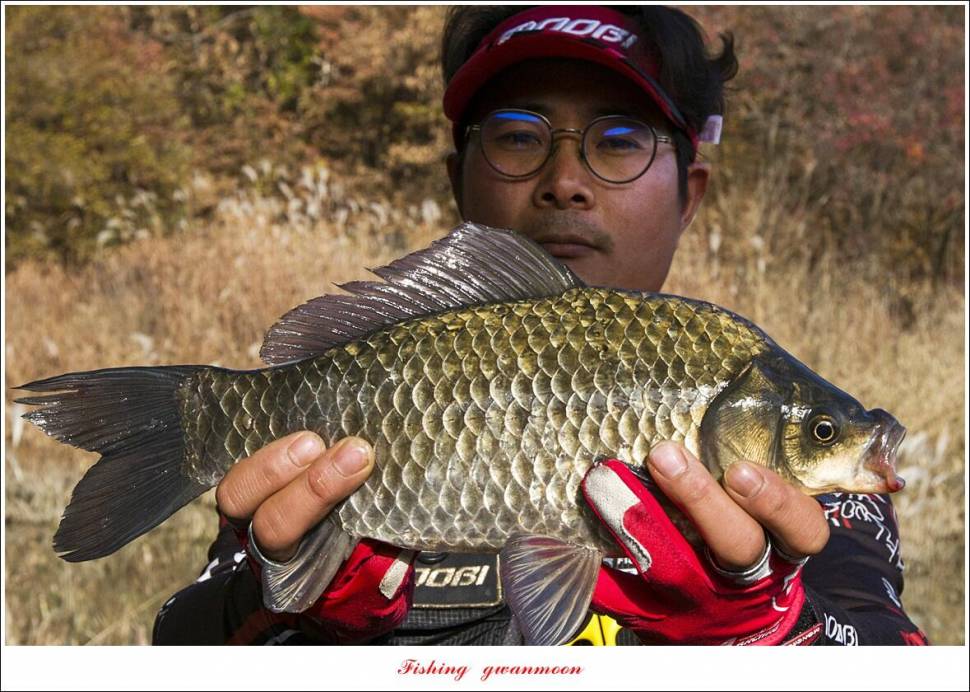 돌감 4 짜달천강대제지 4 짜 조황 (조황조행기 - 특파원조황)