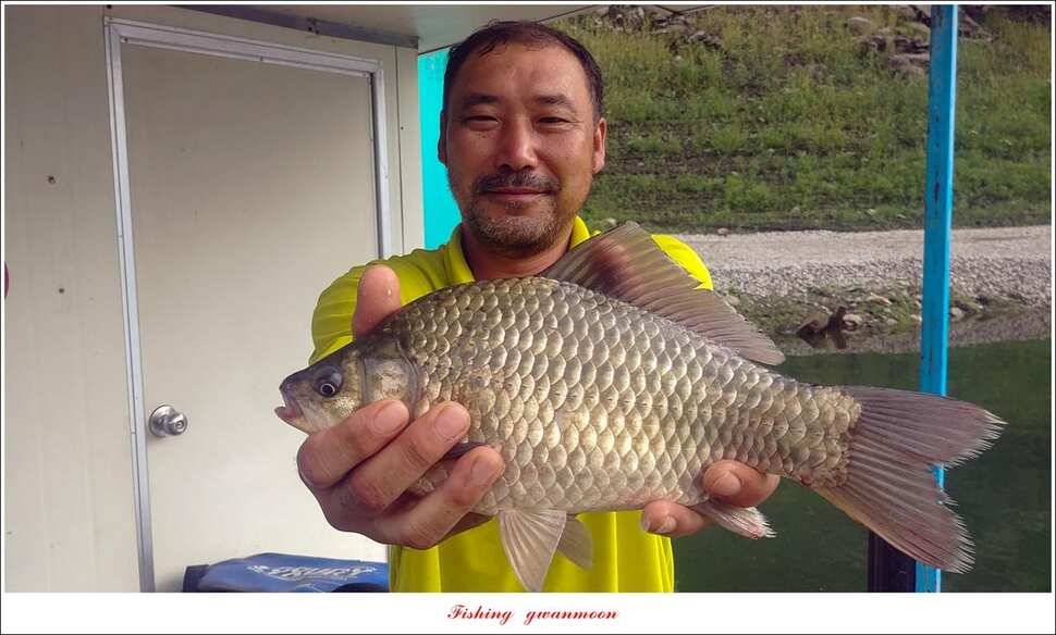 돌감신매 허리급 월척 조황 (조황조행기 - 특파원조황)