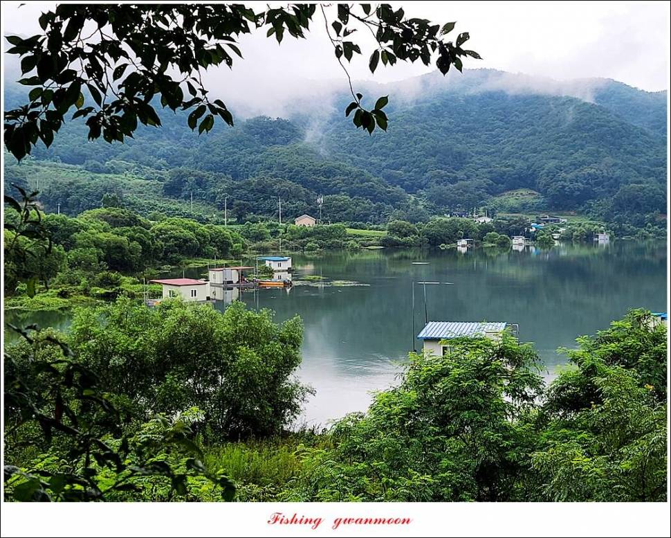 충주호 만수위 및 신리 4 짜 대물 조황 (조황조행기 - 특파원조황)