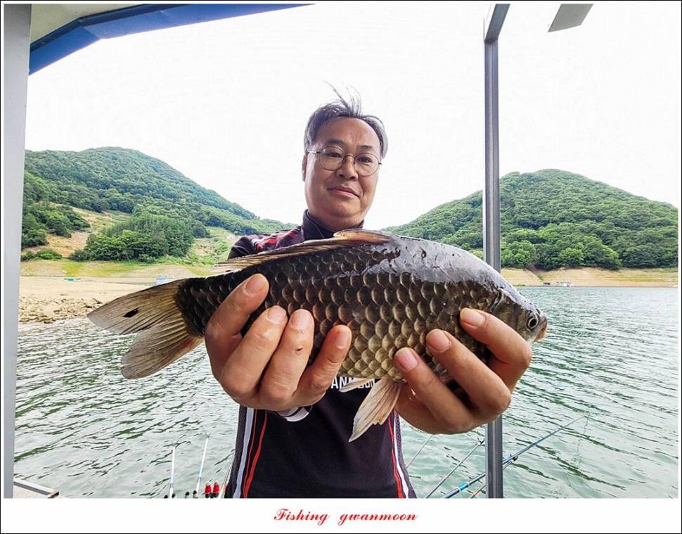 한버들 43 cm목벌 4 짜 2 수솔 낚시터사오리 월척 조황 (조황조행기 - 특파원조황)
