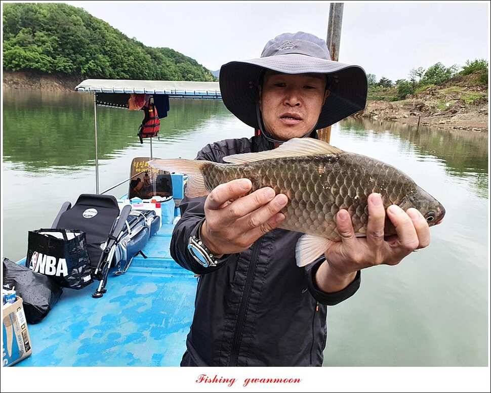 한버들 4 짜 2 수신리 4 짜실리곡 월척칠성지 4 짜 조황 (조황조행기 - 특파원조황)