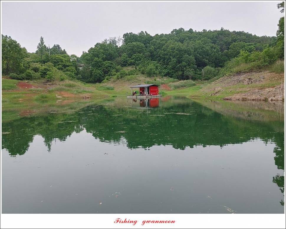 낚시 금지 관련 국회 청원 운동에 동참 합니다 (조황조행기 - 특파원조황)