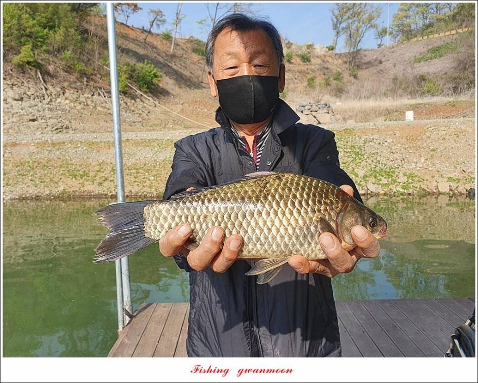 한버들 4 짜신리 4 짜실리곡 4 짜대물 조황 (조황조행기 - 특파원조황)