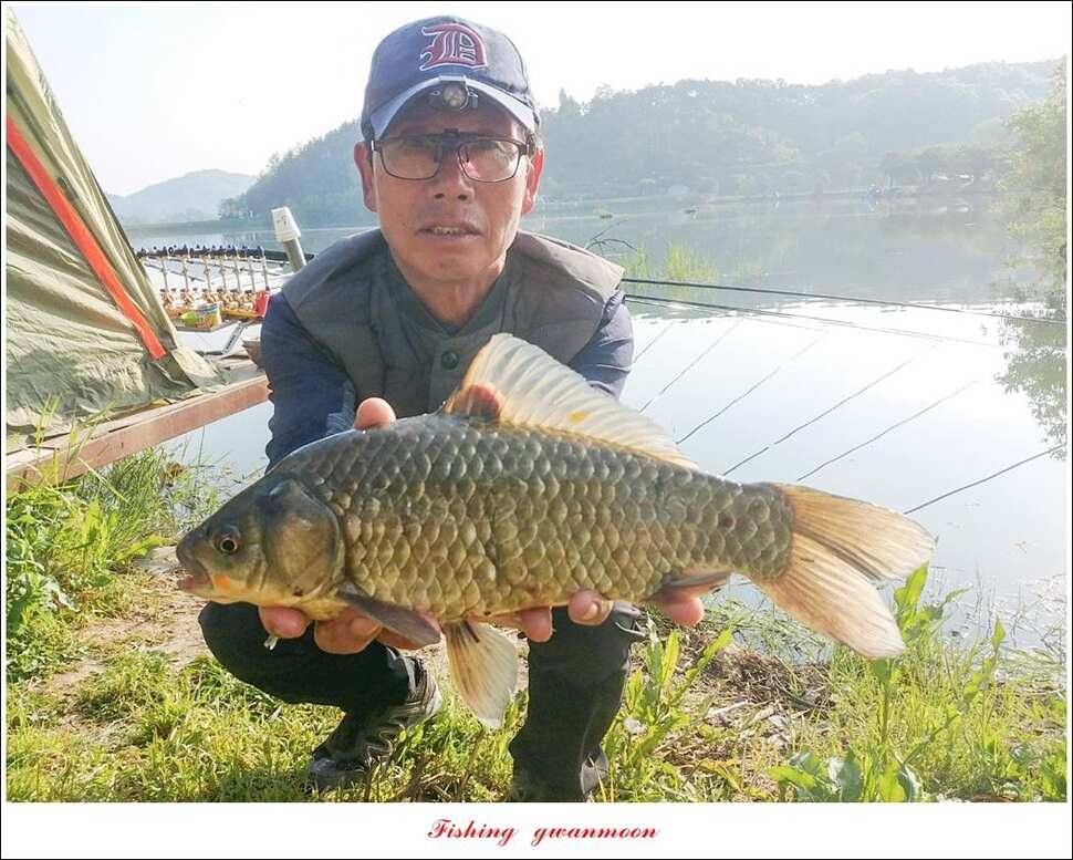 화곡지 사짜칠성지 사짜 대물 조황 (조황조행기 - 특파원조황)
