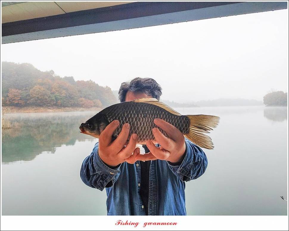 화곡지 4 짜솔 39 cm돌감 37 cm충주호 노지 현황 (조황조행기 - 특파원조황)