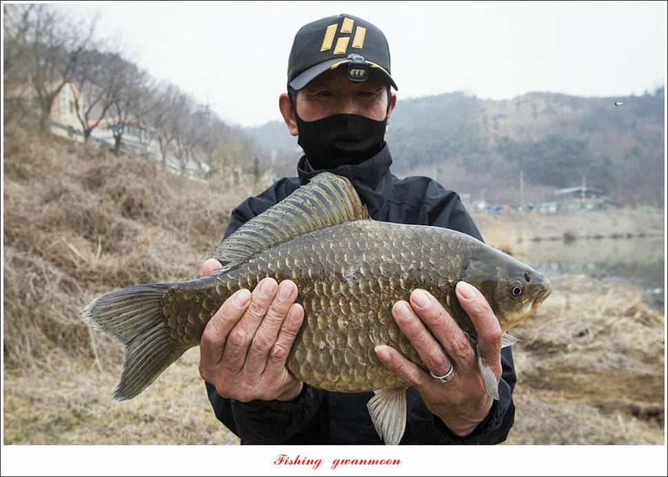 달천강 44 cm대물요도천 조황 (조황조행기 - 특파원조황)