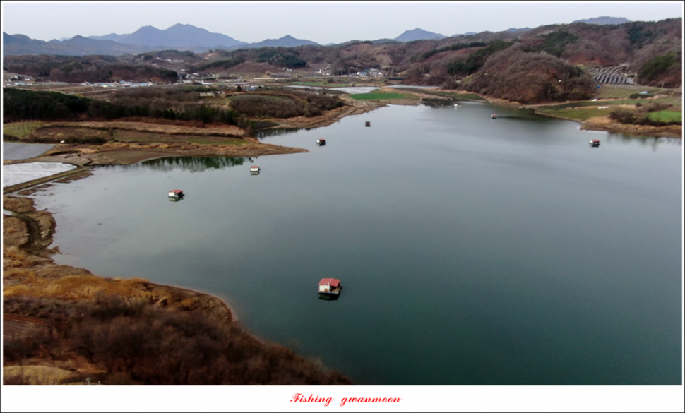 제일 낚시터 마릿수 월척 조황 (조황조행기 - 특파원조황)
