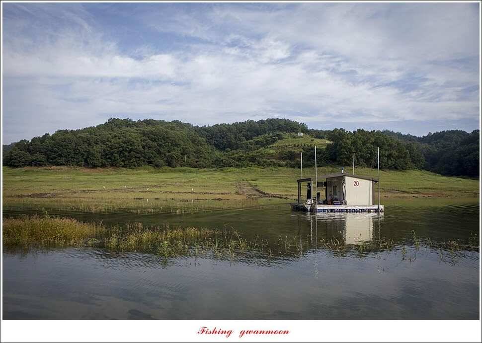 제일 4 짜 및 마릿수 대물칠성지 4 짜 및 마릿수 조황 (조황조행기 - 특파원조황)