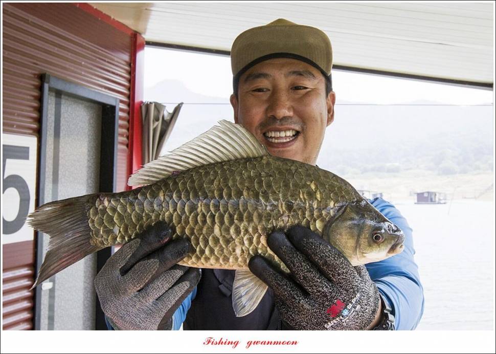 솔 42 cm목벌 41 cm 오름수위 전 대물 조황 (조황조행기 - 특파원조황)