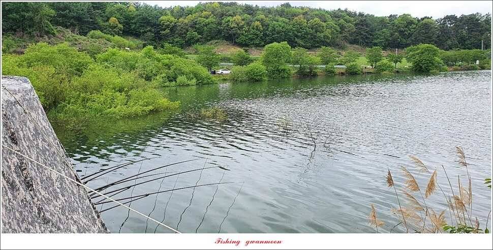한버들 4 짜 2 수신리 4 짜실리곡 월척칠성지 4 짜 조황 (조황조행기 - 특파원조황)
