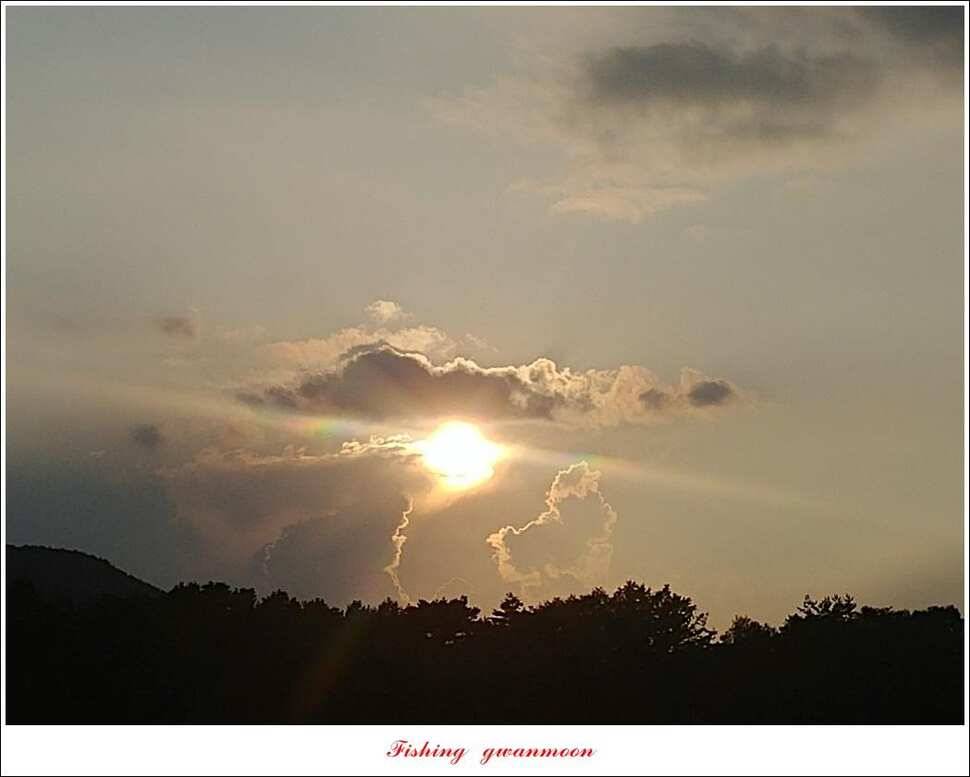 제일 4 짜 및 마릿수 대물칠성지 4 짜 및 마릿수 조황 (조황조행기 - 특파원조황)