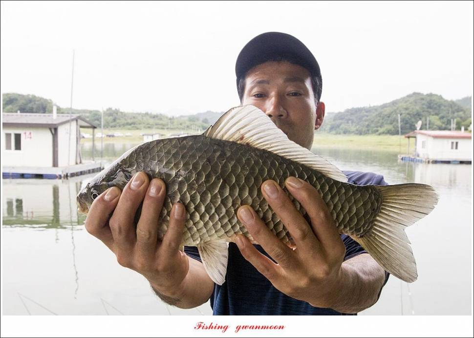 제일 4 짜 2 수돌감 4 짜목벌 4 짜 조황 (조황조행기 - 특파원조황)